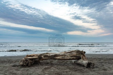 Foto de Un viejo enganche en la orilla del mar con olas blancas y espumosas - Imagen libre de derechos