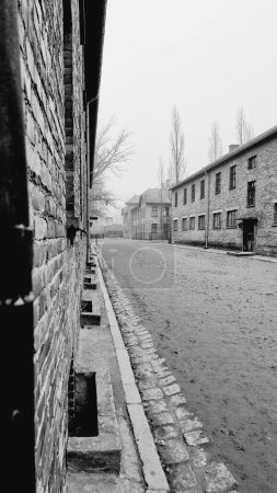 Photo for A grayscale shot of the empty road in Auschwitz concentration camp during autumn - Royalty Free Image