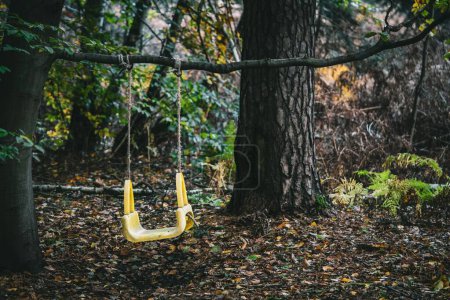 Téléchargez les photos : Une balançoire jaune sur une branche d'arbre dans une forêt, avec un feuillage de couleur automne - en image libre de droit