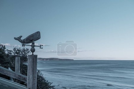 Téléchargez les photos : Une vue sur la boussole rustique des baleines à Palm Beach avant le paysage marin - en image libre de droit