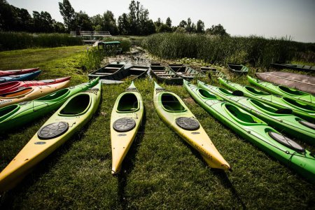 Photo for A bunch of kayaks on a grassy lawn - Royalty Free Image