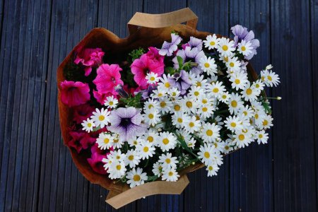 Téléchargez les photos : Une vue de dessus d'un bouquet de fleurs de pétunia et de camomilles sur une surface en bois noir - en image libre de droit