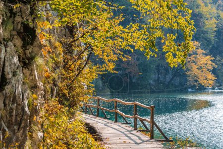 Foto de Un pintoresco plano de naranjos y un camino de madera en el parque nacional de Plitvice Lakes en Croacia - Imagen libre de derechos