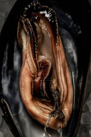 Foto de Un primer plano del pie de un mejillón viscoso en una concha negra abierta - Imagen libre de derechos