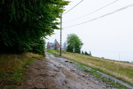 Téléchargez les photos : Vue panoramique d'une route menant à une maison près d'une forêt - en image libre de droit