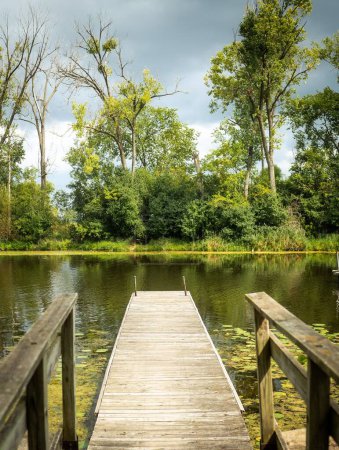 Foto de Una hermosa toma de muelle de madera en el lago con nenúfares, rodeado de exuberante vegetación en el parque natural tropical - Imagen libre de derechos