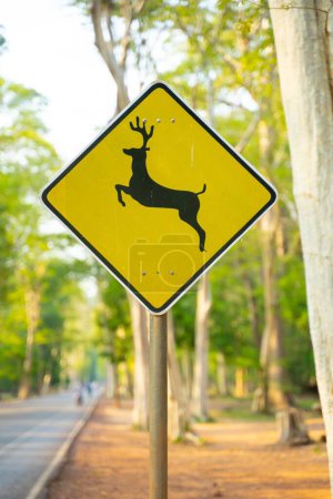 Téléchargez les photos : Un panneau de cerf jaune dans la rue - en image libre de droit