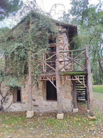 Téléchargez les photos : Plan vertical du vieux bâtiment en pierre abandonné dans le parc entouré d'arbres pendant la journée - en image libre de droit