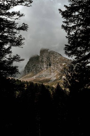 Téléchargez les photos : Un paysage vertical de la colline rocheuse San Bernardino recouvert de nuages sombres derrière les arbres - en image libre de droit
