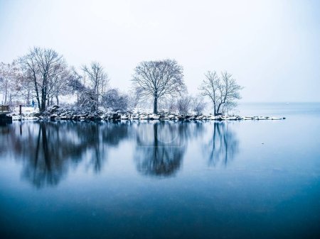 Téléchargez les photos : Un paysage hivernal avec un lac reflétant des arbres à feuilles caduques près de la rive fond de ciel blanc - en image libre de droit