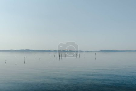 Téléchargez les photos : Le beau paysage marin de Gendarmstien avec des bâtons de bois mince dans l'eau au Danemark, Grasten - en image libre de droit