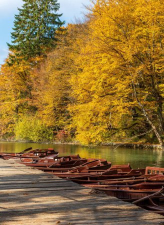 Foto de Un disparo vertical de la fila de barcos en el muelle de madera en el fondo del bosque amarillo de otoño - Imagen libre de derechos