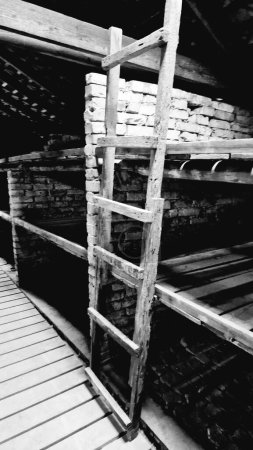 Foto de Una vista vertical a escala de grises del interior del campo de concentración de Auschwitz en Oswiecim, Polonia - Imagen libre de derechos