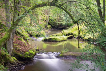 Téléchargez les photos : Un long paysage d'exposition d'une rivière qui coule dans une forêt tropicale verte - en image libre de droit