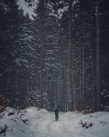 Foto de Un disparo vertical de un excursionista con una mochila caminando hacia el denso bosque en clima nevado - Imagen libre de derechos