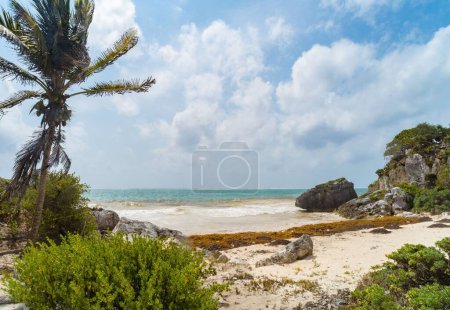 Téléchargez les photos : Vue de la plage à Tulum Ruines - en image libre de droit
