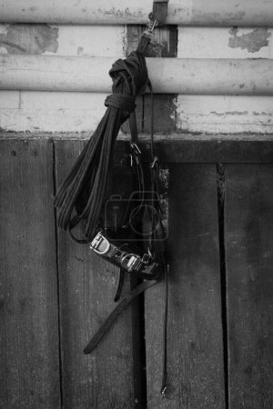 Téléchargez les photos : Plan vertical en niveaux de gris d'un collier de cheval et d'une corde accrochés à un mur de grange - en image libre de droit