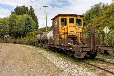 Téléchargez les photos : Le fourgon d'un vieux train de chemin de fer forestier dans les bois - en image libre de droit