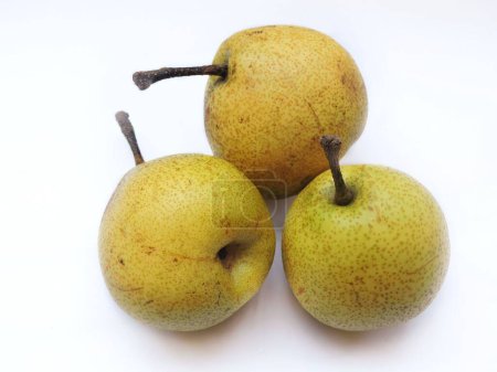 Photo for Naspathi Indian pears are a good source of fiber and vitamin C. They improve digestion and help in weight-loss. They fight diabetes and antioxidants. - Royalty Free Image