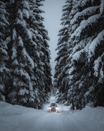Foto de Un disparo vertical de un coche de travesía conduciendo entre abetos altos cubiertos de nieve - Imagen libre de derechos