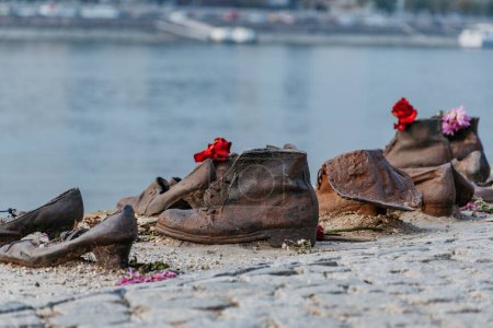 Téléchargez les photos : Un focus sélectif des Chaussures sur la rive du Danube avec des fleurs sur le sol contre une scène fluviale - en image libre de droit