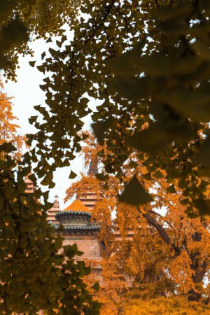 Foto de Una vista vertical de un templo de pagoda visible a través de hojas de Ginkgo de otoño - Imagen libre de derechos
