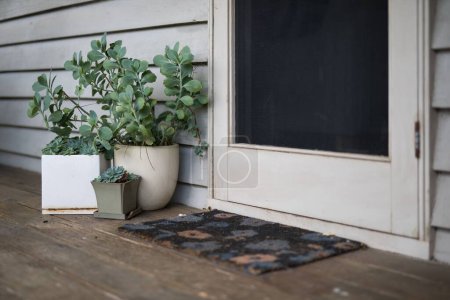 Téléchargez les photos : L'entrée de la maison avec des plantes en pot et succulents - en image libre de droit
