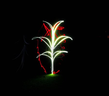 Téléchargez les photos : Une décoration florale néon vif im le jardin la nuit - en image libre de droit