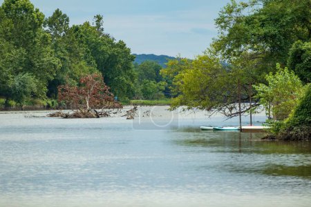 Téléchargez les photos : Une belle vue de la rivière Anacostia entourée de la forêt verte dense dans le Maryland, États-Unis - en image libre de droit