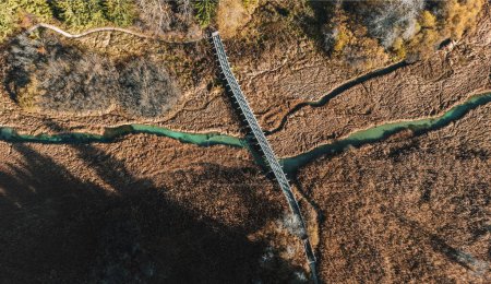Photo for Directly above aerial view of bridge across creek flowing through grassland at Zelenci neture reserve in Slovenia - Royalty Free Image