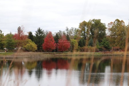 Photo for An autumn view of a lake reflecting the surrounding colorful trees and the sky - Royalty Free Image