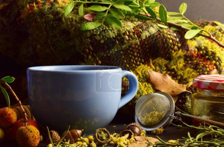 Foto de Un primer plano de una taza azul sobre tela de lana y fondo oscuro, hierbas naturales, infusión, remedios saludables. - Imagen libre de derechos