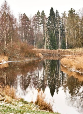 Téléchargez les photos : Plan vertical d'une rivière qui coule dans les bois en hiver - en image libre de droit