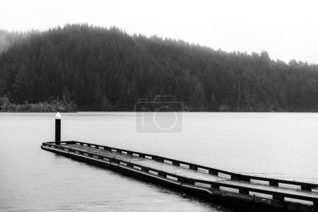 A monochrome shot of an empty pier in the scenic Tahkenitch Lake in Douglas County, US
