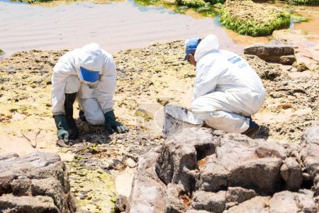 Foto de Los trabajadores de limpieza de derrames de petróleo en la playa de Pedra do Sal - Imagen libre de derechos