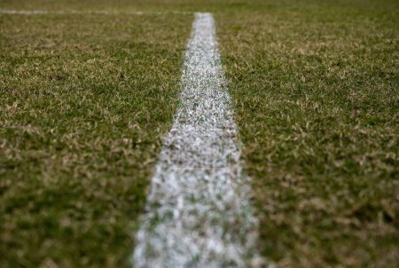 Photo for A closeup of a white chalk line on the grass on the sports field - Royalty Free Image