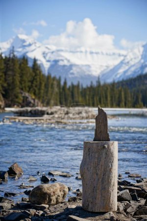 Foto de Una escultura de madera natural o figura en primer plano con un gran río y cordillera con árboles en el fondo en Banff, Alberta, Canadá. - Imagen libre de derechos