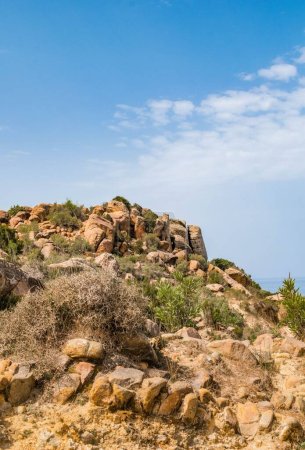 Téléchargez les photos : Un plan vertical de formations rocheuses et d'arbres verts sur un rivage sablonneux en Tunisie - en image libre de droit