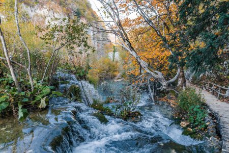 Téléchargez les photos : Plan rapproché d'une cascade qui descend la pente rocheuse du parc national des Lacs-de-Plitvice - en image libre de droit