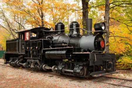 Téléchargez les photos : Feuilles d'automne colorées et vieille locomotive à vapeur à engrenages classique autrefois utilisée pour le transport de grumes récoltées dans les montagnes blanches du New Hampshire. - en image libre de droit