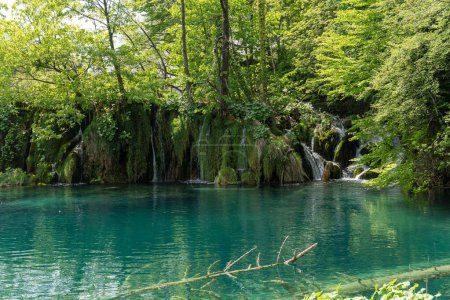Téléchargez les photos : Un magnifique paysage de cascades avec végétation et un lac au parc national des lacs de Plitvice - en image libre de droit