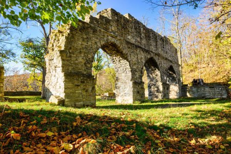 Téléchargez les photos : Une vue sur les ruines d'Arnsburg en automne avec un ciel bleu - en image libre de droit
