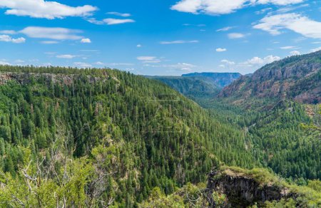 Téléchargez les photos : Une vue spectaculaire des paysages de la forêt nationale de Coconino, Arizona, États-Unis par une journée ensoleillée - en image libre de droit