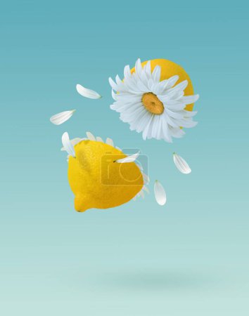 Photo for A vertical 3D yellow lemon cut in half with daisy flower inside on pastel blue background - summer concept - Royalty Free Image