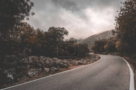 Téléchargez les photos : Une route de montagne asphaltée entourée d'arbres contre le ciel nuageux - édité dans un style sombre - en image libre de droit