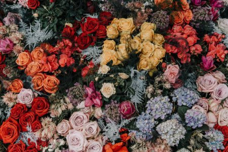 Téléchargez les photos : Un beau cliché de nombreuses fleurs colorées - papier peint de printemps parfait - en image libre de droit