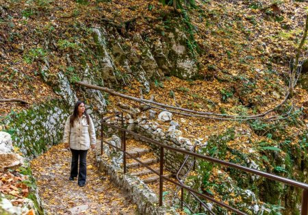 Téléchargez les photos : Une femelle marche sur un sentier couvert de feuilles sèches et colorées d'automne au parc national des lacs de Plitvice - en image libre de droit