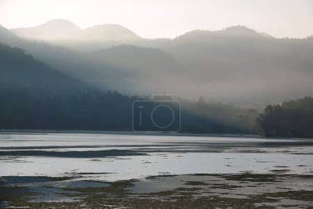 Téléchargez les photos : Paysage d'un lac avec forêt de montagne couvert de brouillard léger tôt le matin - en image libre de droit