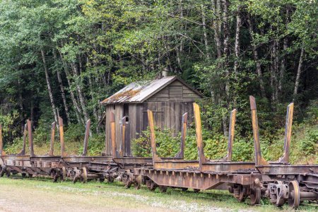Téléchargez les photos : Vue des vieux wagons et voies ferrées d'exploitation forestière dans les bois avec un vieux bâtiment - en image libre de droit
