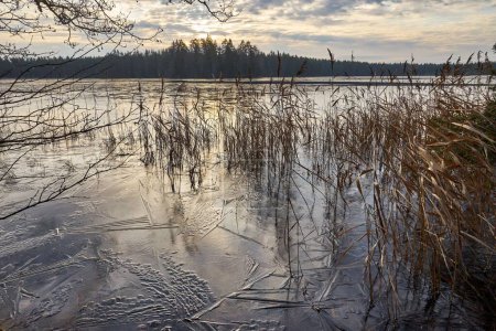 Téléchargez les photos : Un beau plan d'un lac avec un fond d'arbres lors d'un coucher de soleil en hiver - en image libre de droit